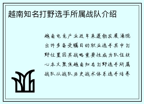 越南知名打野选手所属战队介绍