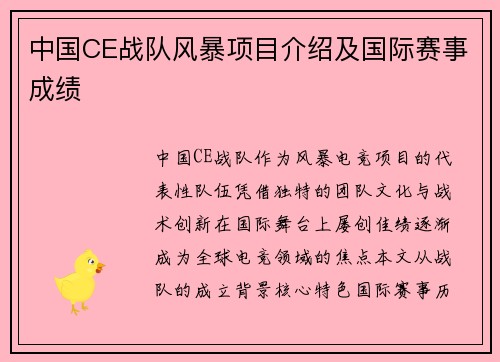 中国CE战队风暴项目介绍及国际赛事成绩